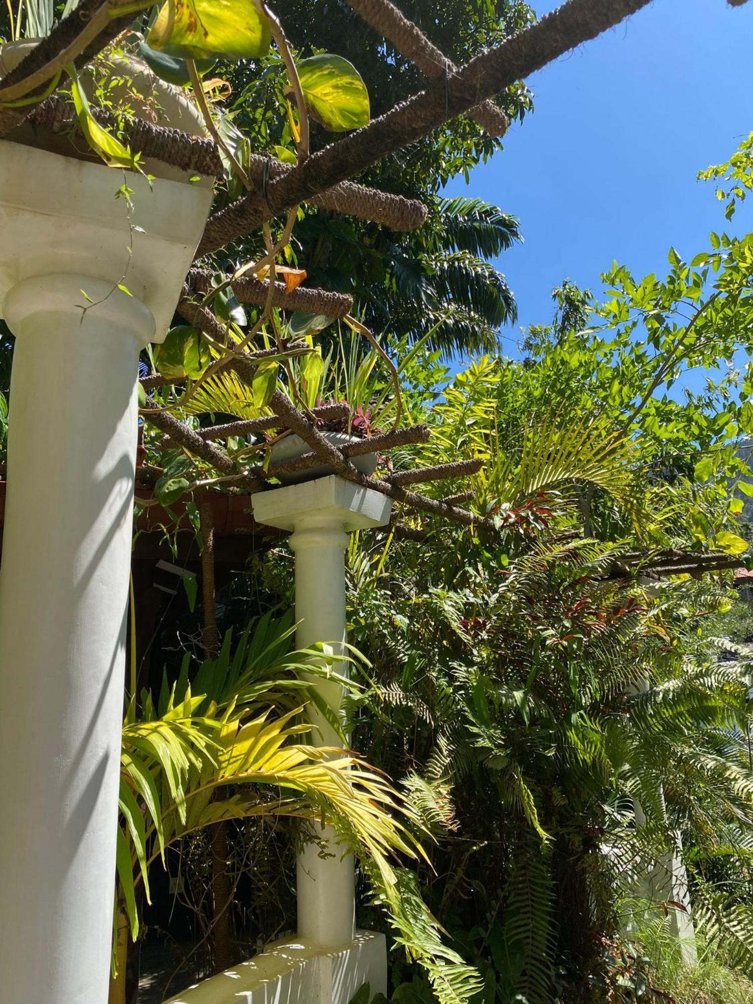 Villa Olde Ceylon Kandy Exterior photo